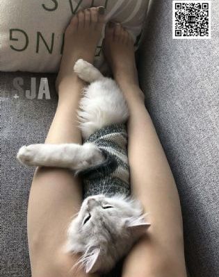 欧美日韩你懂的_BD英语动漫免费观看