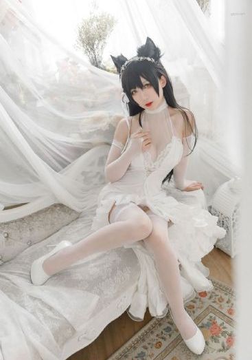 91av视在线视频_4KHD在线观看